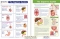 The Digestive System Visual Learning Guide