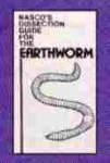 Earthworm Dissection Guide