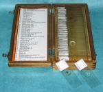 Prepared Microscope Slide Set of 50