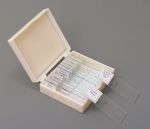 Basic Microscope Prepared Slide Set of 12