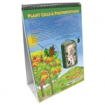 All About Plants Flip Chart Set