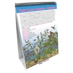 Classification of Living Things Flip Chart Set