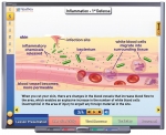 Systems of the Human Body III: Maintaining Life - Protection, Reproduction & Cooperation Multimedia Lesson