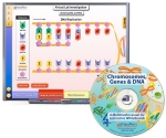 Chromosomes, Genes & DNA Multimedia Lesson