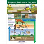 Ecosystems, Food Chains & Food Webs Poster, Laminated