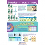 Genetics: The Study of Heredity Poster, Laminated