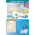 Modern Genetics Poster, Laminated