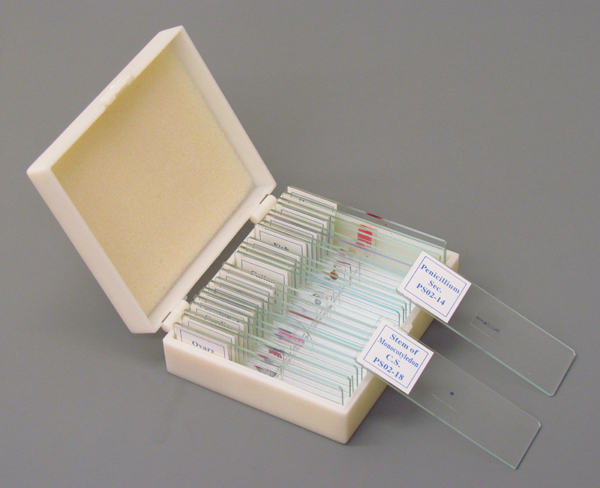 B4688 Intermediate Microscope Prepared Slide Set Of 25