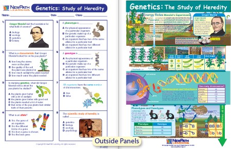 study of heredity