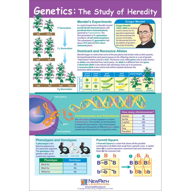 the study of heredity is